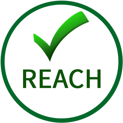 Reach Certification at Rs 20000/certificate in Vasai Virar | ID:  2850453243155